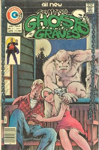 Cover of An Amusing Place