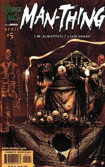 Cover of An Empty House