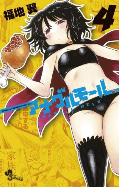 Cover of Vol. 4
