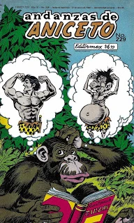 Cover of Issue #229