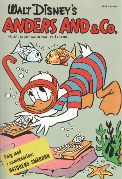 Cover of Issue #196137