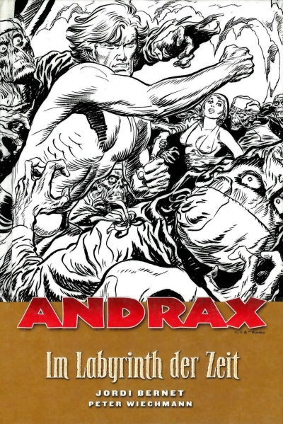 Cover of Im Labyrinth der Zeit