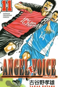 Vol. 11
