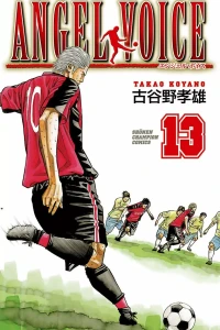 Vol. 13