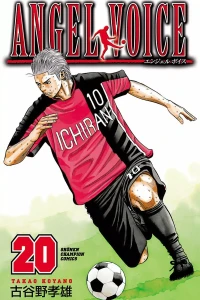Vol. 20