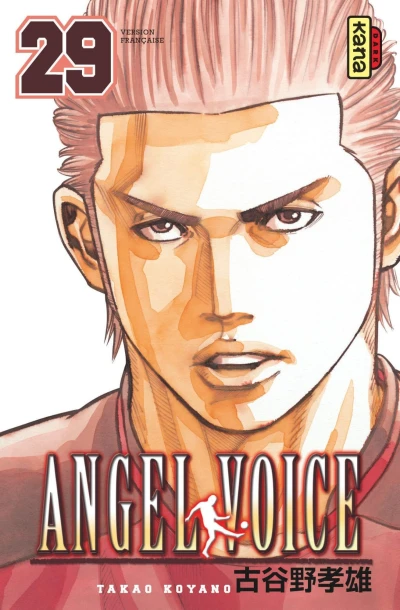 Cover of Volume #29