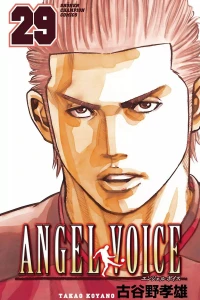 Vol. 29