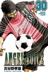 Vol. 30