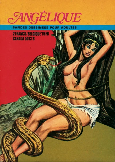 Cover of Les Paladins de Charlemagne