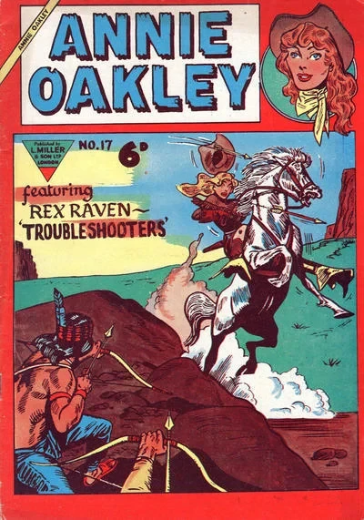 Cover of Issue #17