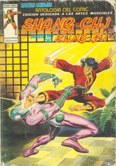 Cover of Shang-Chi maestro de kung-fu 4