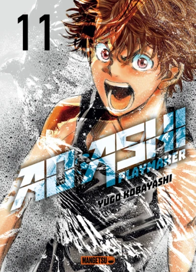 Cover of Vol. 11