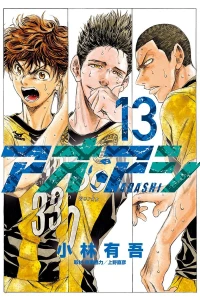 Vol. 13