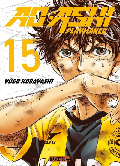 Cover of Vol. 15