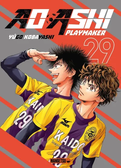 Cover of Issue #29