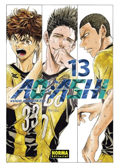 Cover of Issue #13