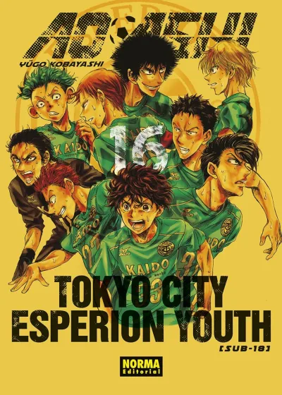 Cover of Issue #16