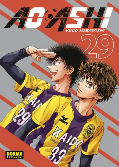 Cover of Issue #29