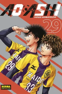 Issue #29