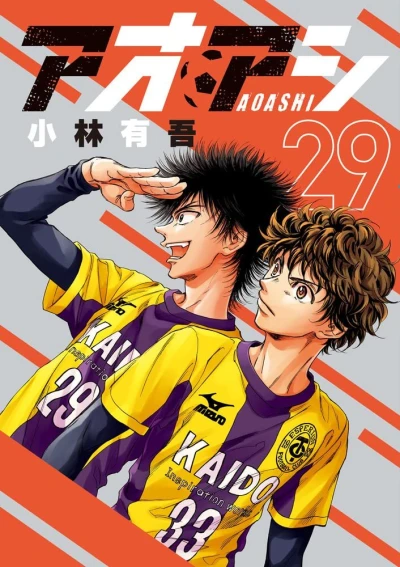 Cover of Vol. 29