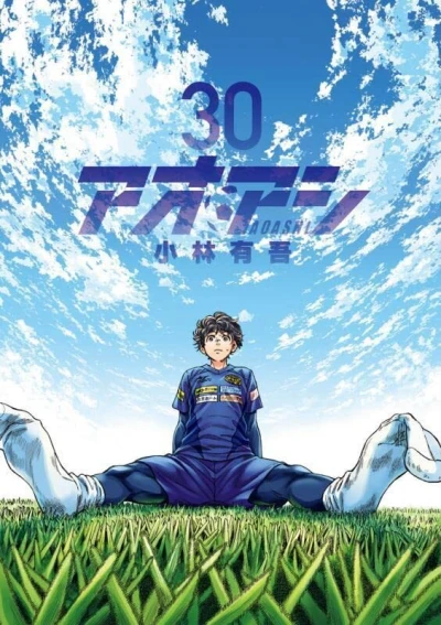 Cover of Vol. 30