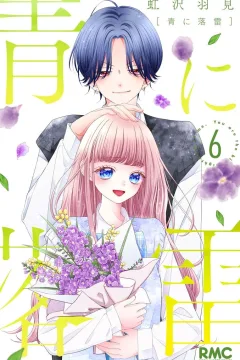 Vol. 6