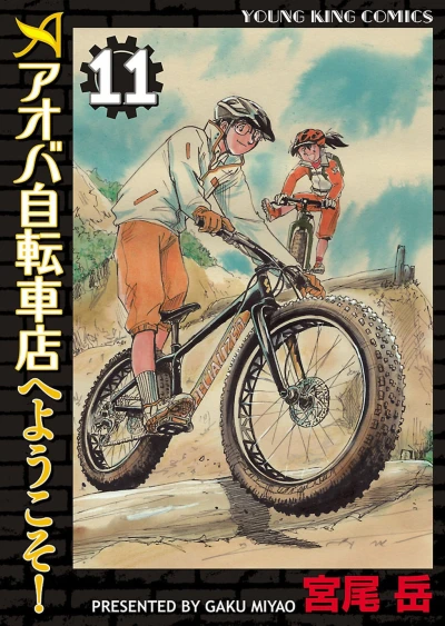 Cover of Vol. 11