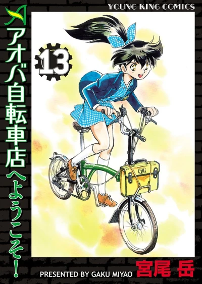 Cover of Vol. 13