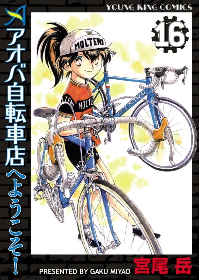 Cover of Vol. 16