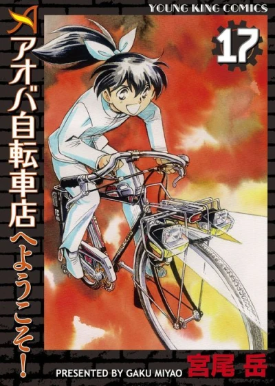 Cover of Vol. 17