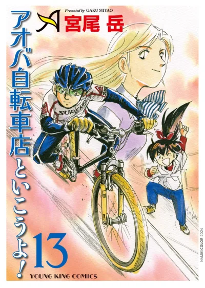 Cover of Vol. 13