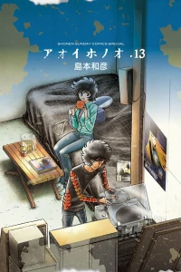 Vol. 13