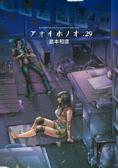 Cover of Vol. 29