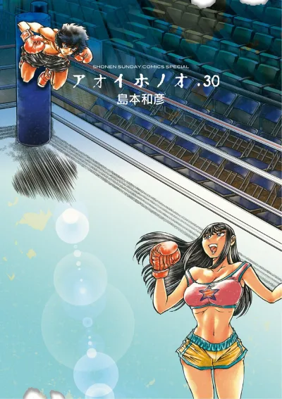 Cover of Vol. 30