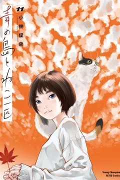 Vol. 11