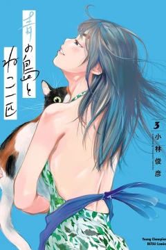 Vol. 3