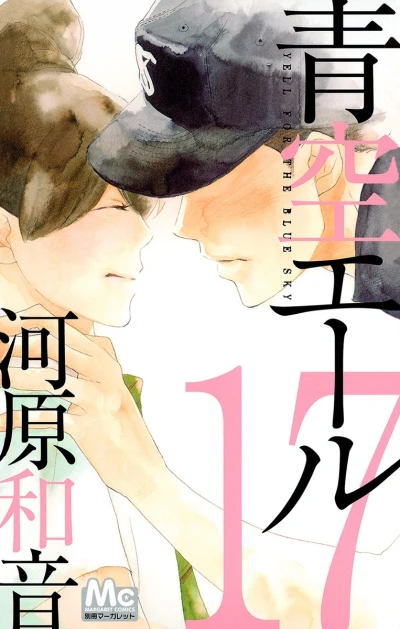 Cover of Vol. 17