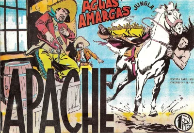 Cover of Issue #25