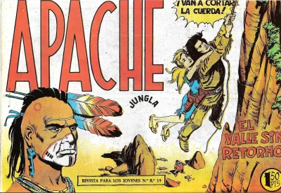 Cover of Issue #43
