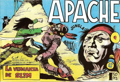 Cover of Issue #55