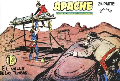 Cover of Issue #22