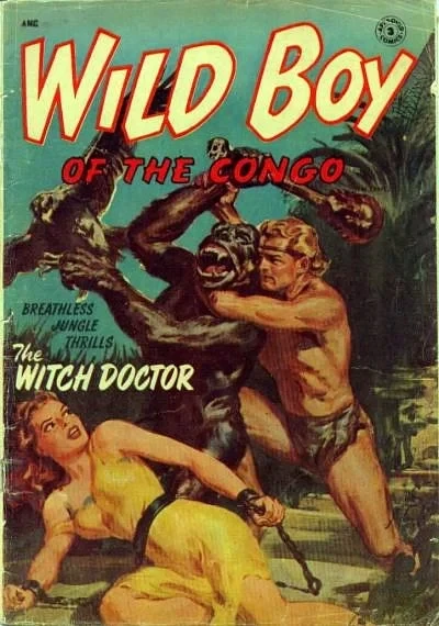 Cover of Wild Boy