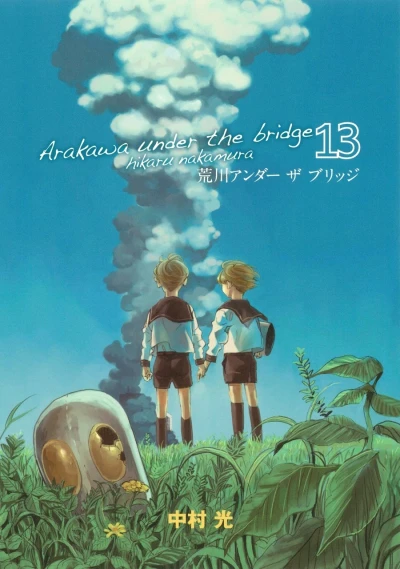 Cover of Vol. 13