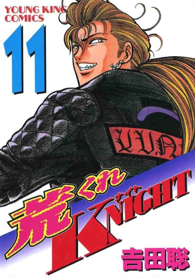 Cover of Volume 11