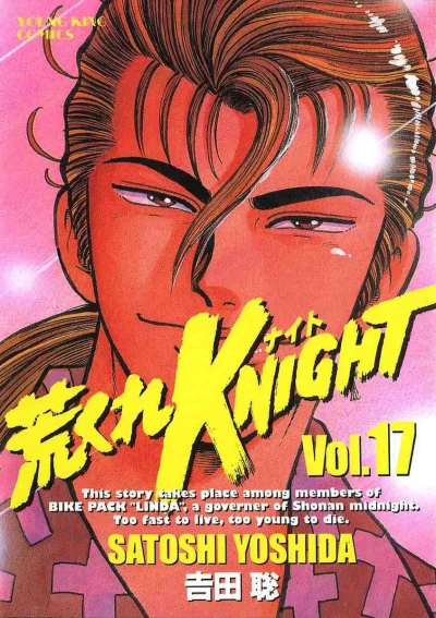 Cover of Volume 17