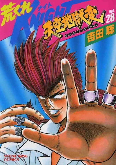 Cover of Volume 28