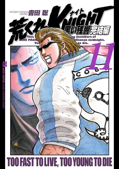 Cover of Vol. 11