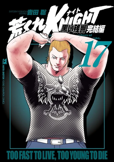Cover of Vol. 17