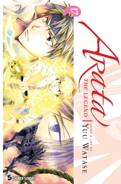Cover of Vol. 17