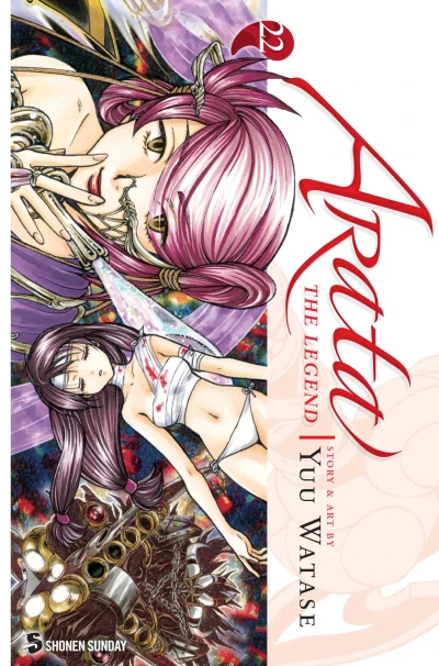 Cover of Vol. 22